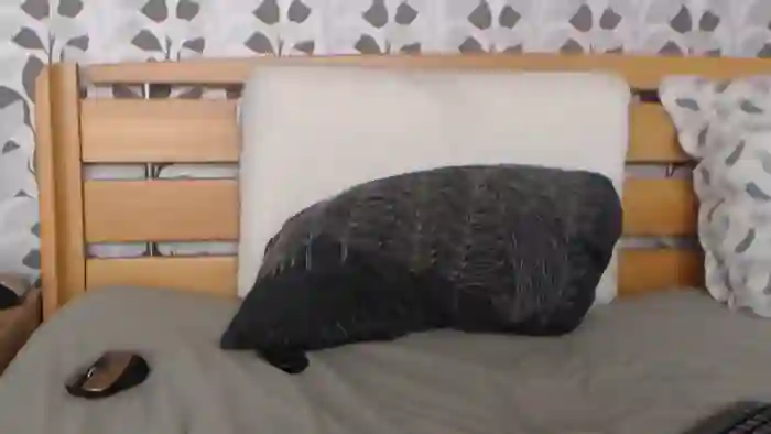Kelywild