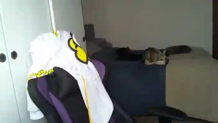Zefyra1