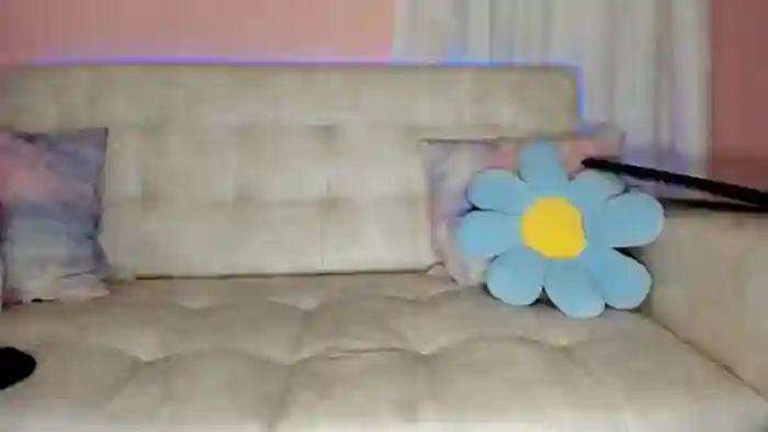 Tiny_Cora