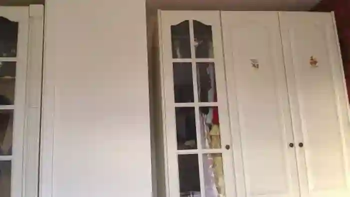 Viola__