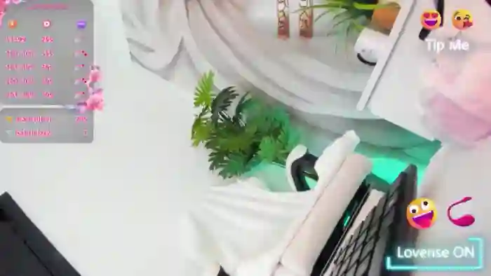 Indiankitty_