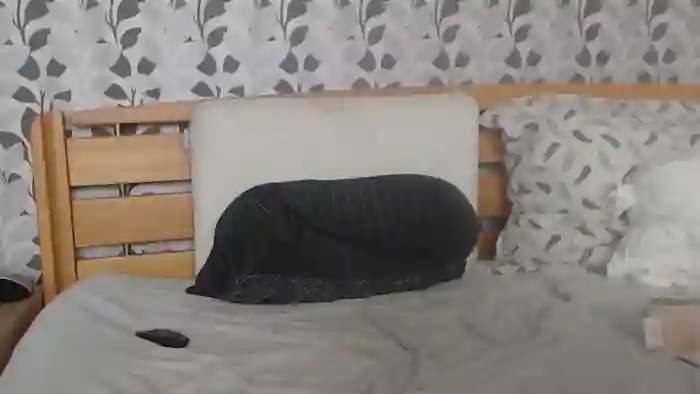 Kelywild