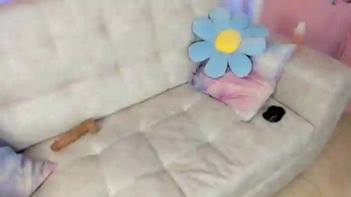 Tiny_Cora