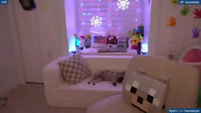Snowkitty