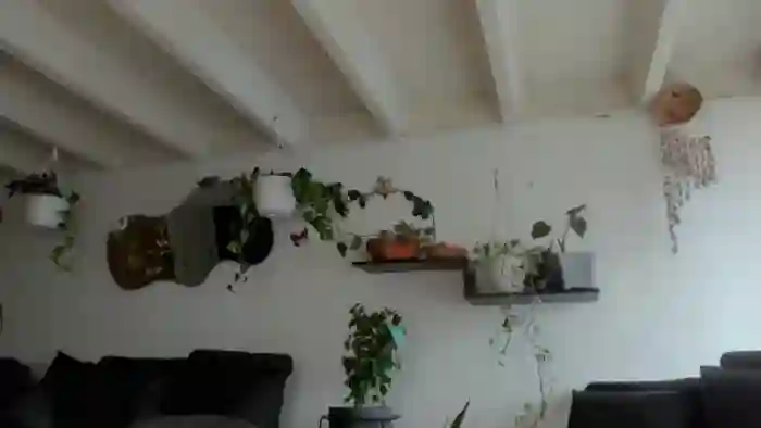 Abbyada_