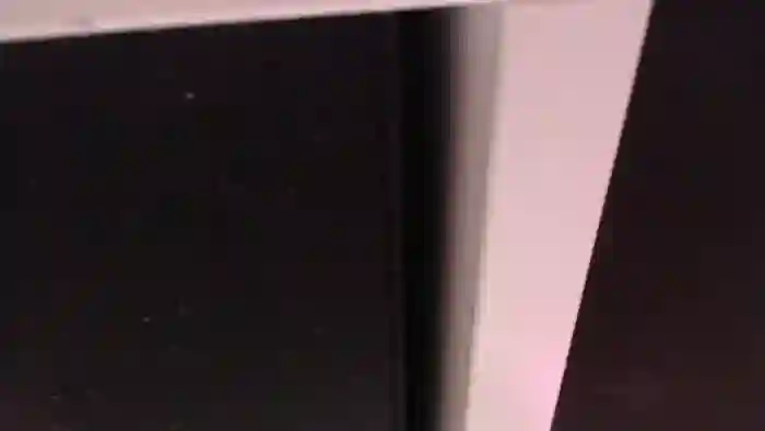 xDaisyx