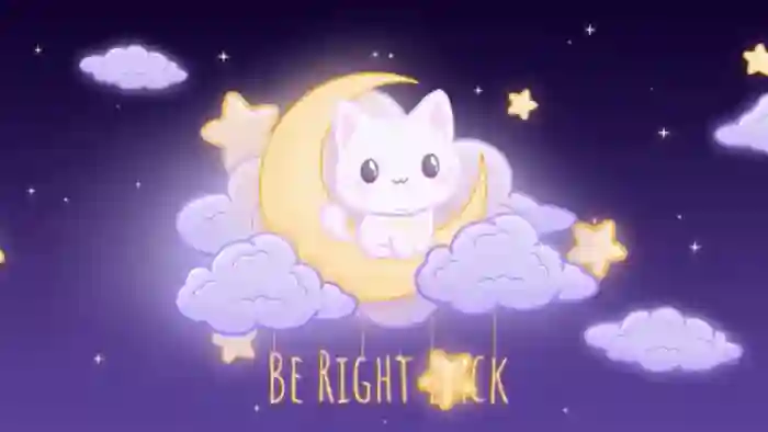 ZillyKitty