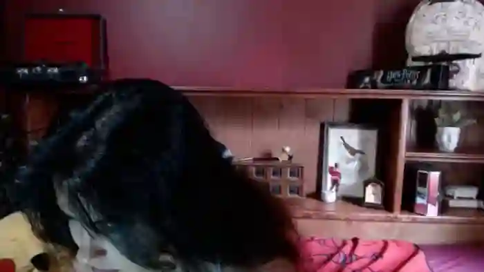 KittySexii