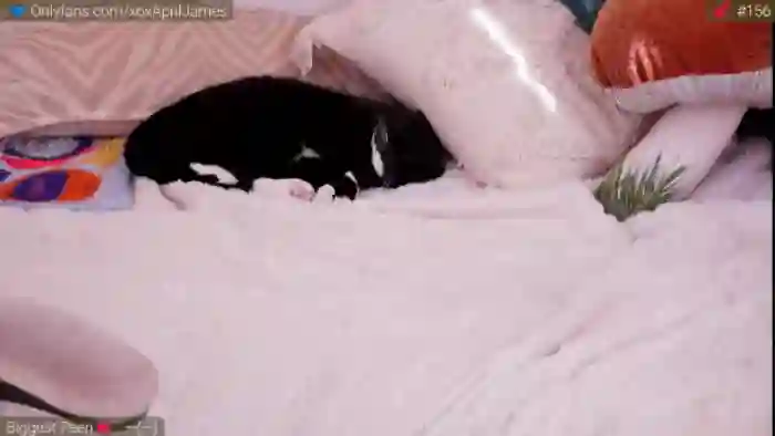 AprilJames