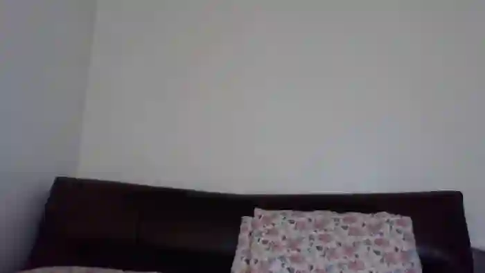 RavenVidVixen