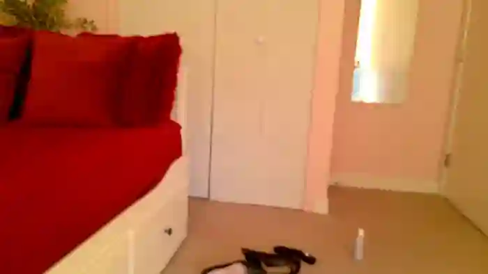 BellaBaxter