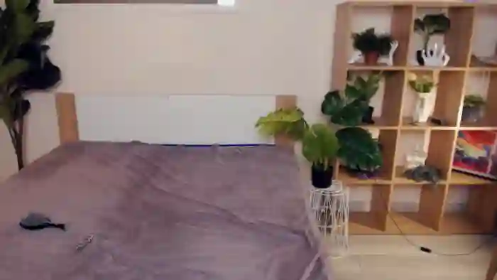 Hanagasumi