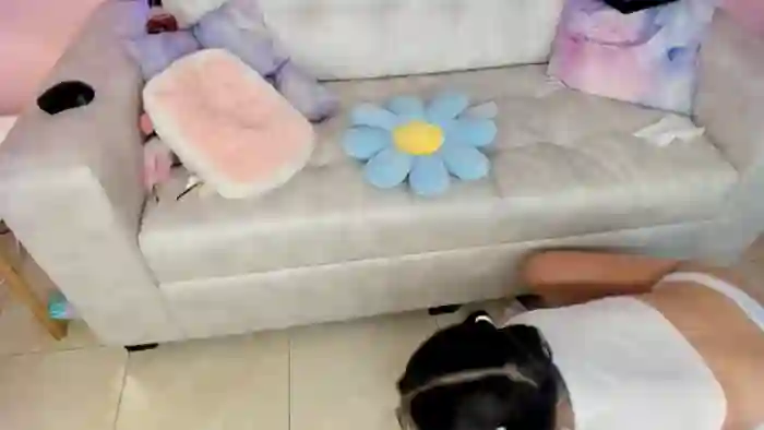 Tiny_Cora