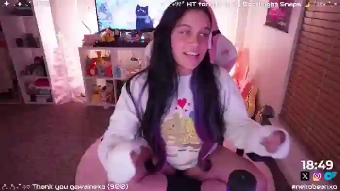 Nekobeanxo