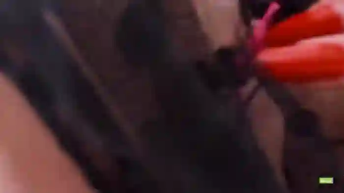 Meow_S