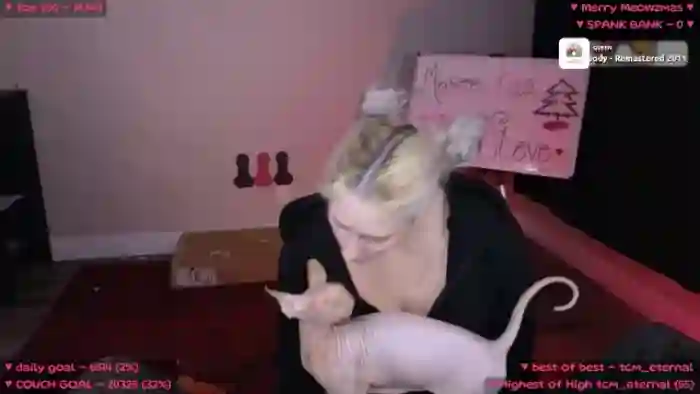 MollyMeowz