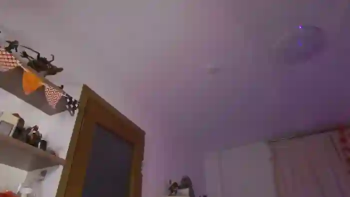 Anita_Meow