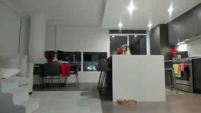 Mollyboots