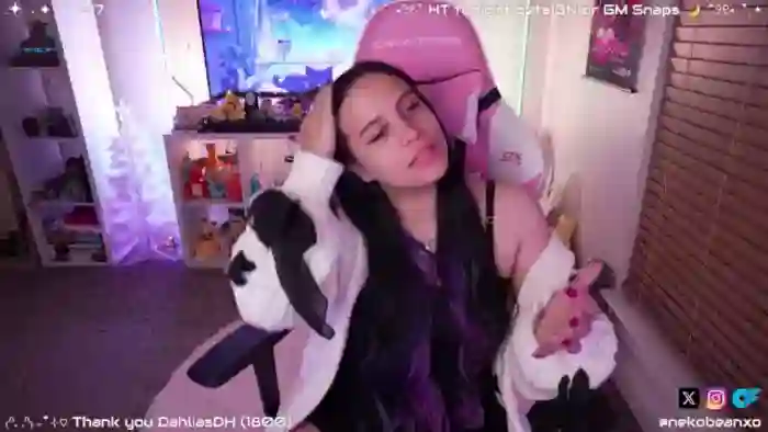 Nekobeanxo