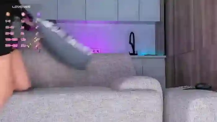 OnlyCats