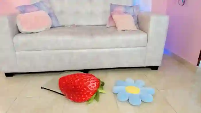 Tiny_Cora