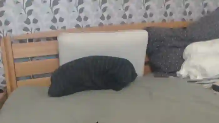 Kelywild