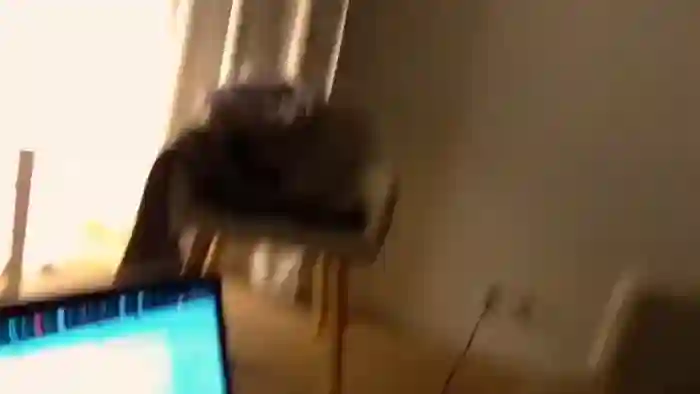 WhoribleSasha