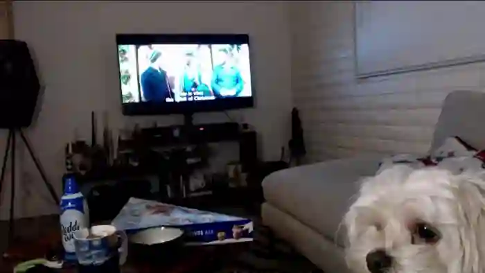 Lil_bunniii