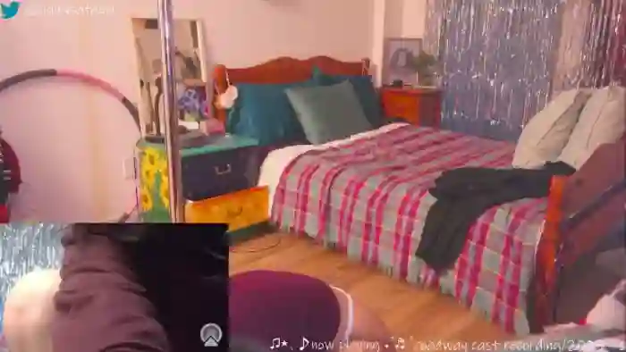 hairysafaeri