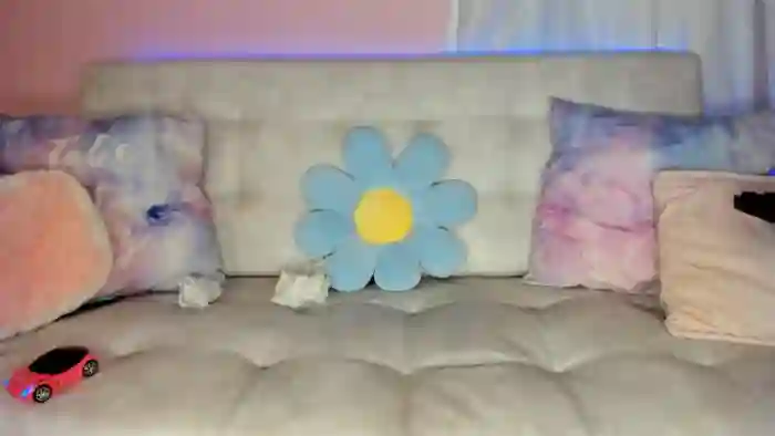 Tiny_Cora