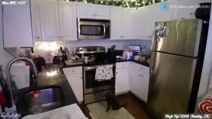 ZillyKitty