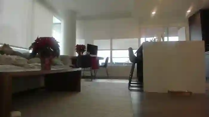 Mollyboots