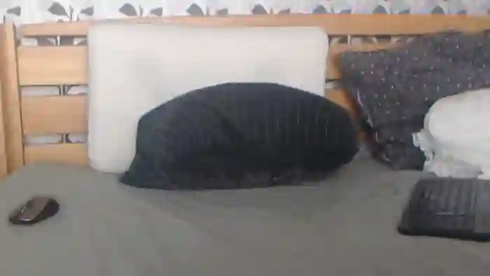 Kelywild