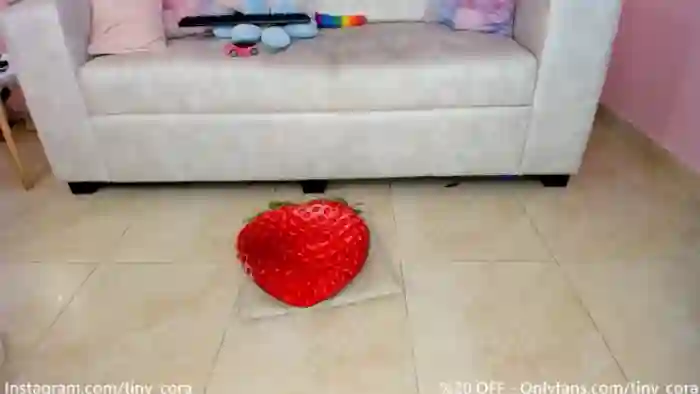 Tiny_Cora