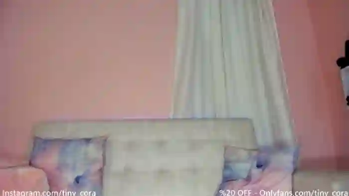 Tiny_Cora
