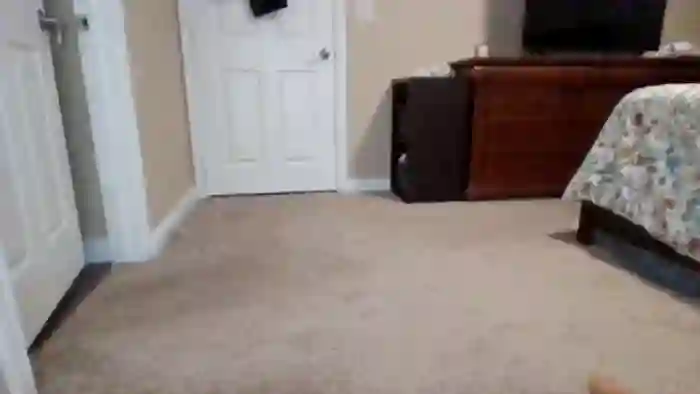 BrookeLoveXXX