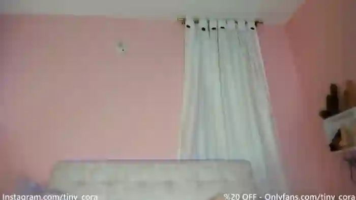 Tiny_Cora