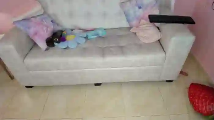 Tiny_Cora