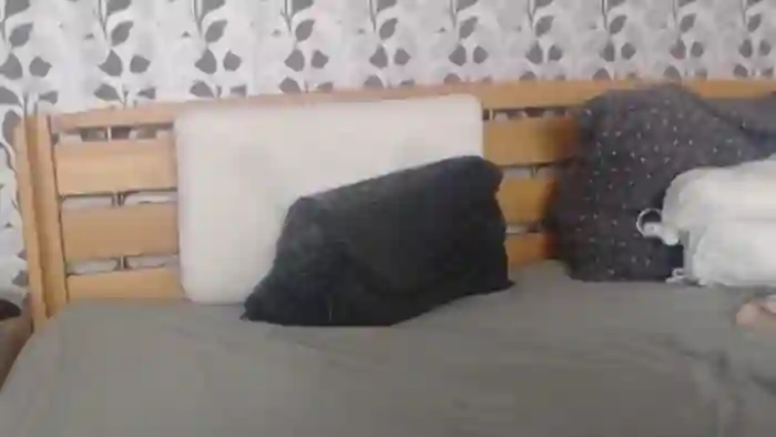 Kelywild