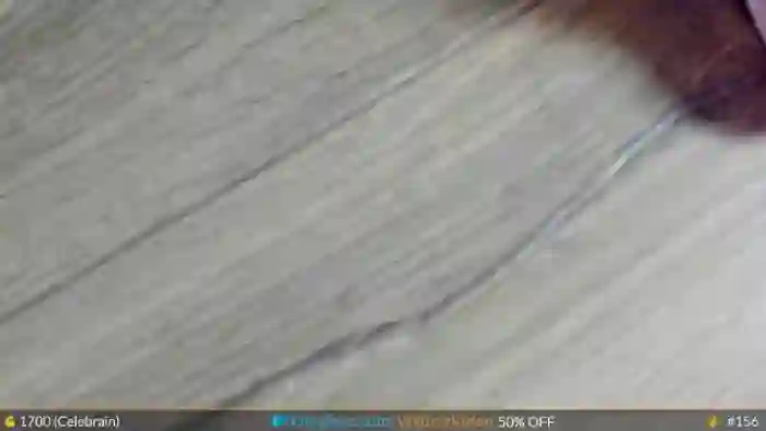 WildestKitten