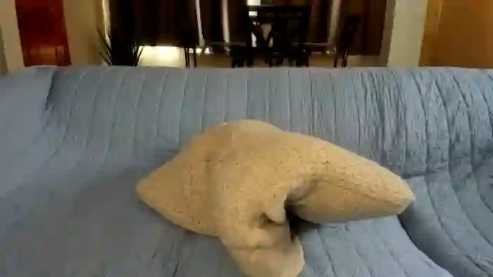 Saandruskaa