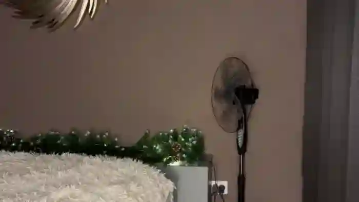 ElliPoole