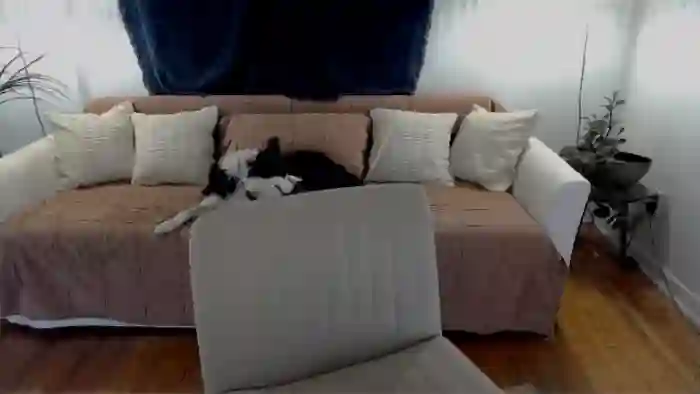 eh1_Scarlett