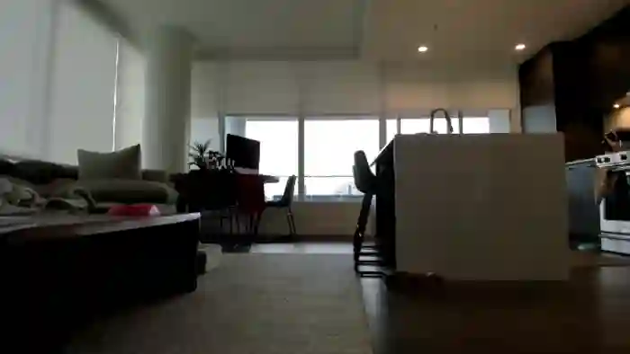 Mollyboots