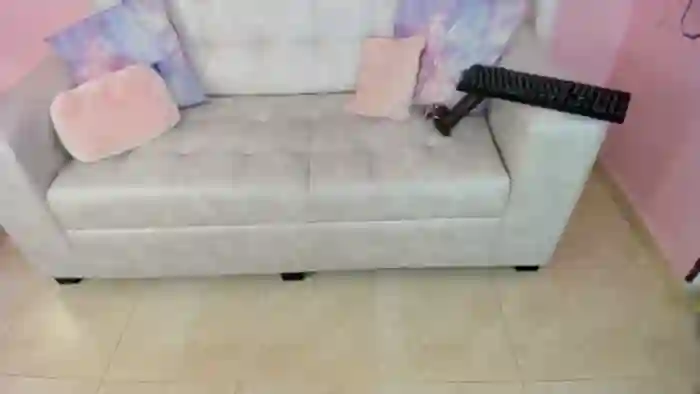 Tiny_Cora