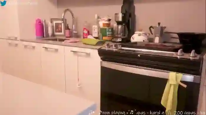 hairysafaeri
