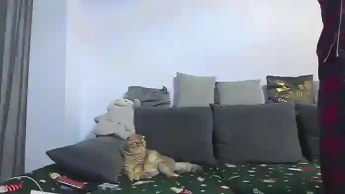 LindsayDee