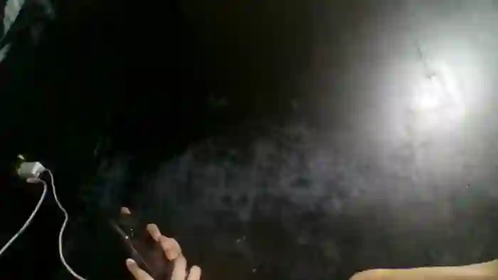 exoticlulu