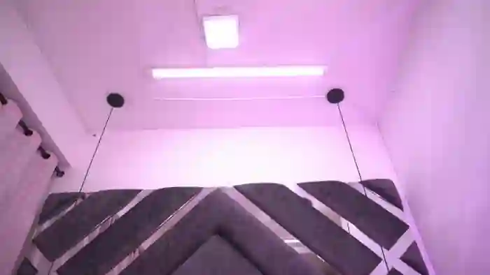 Violeta_aroca