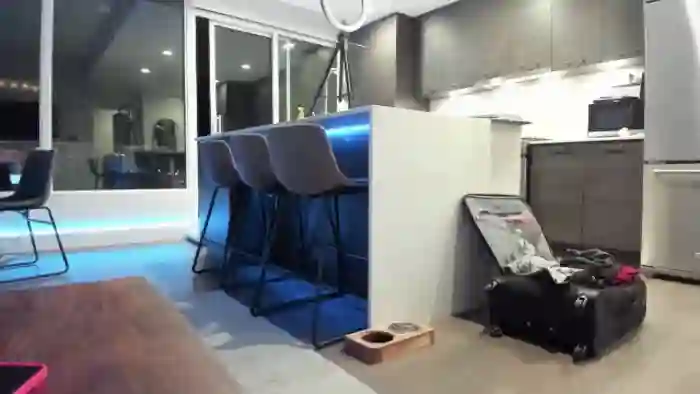 Mollyboots
